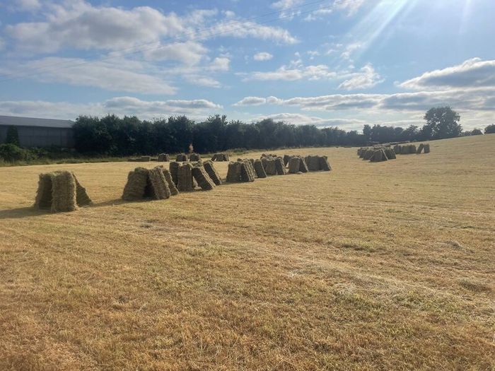 Square bales