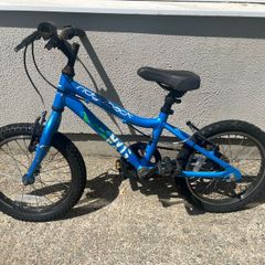 Ridgeback Child's Bike