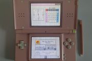 Nintendo DS Lite white/pink