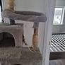 cat tree Image 4