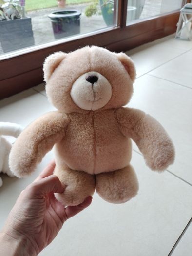Teddy