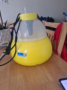 egg incubator