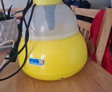 egg incubator
