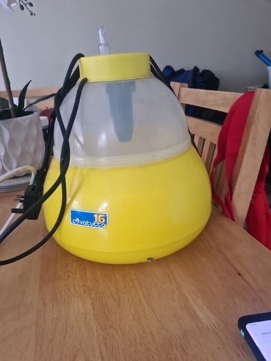 egg incubator