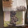 Facts on Animals Image 2