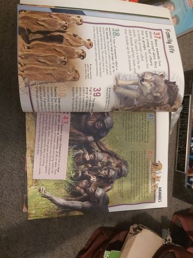 Facts on Animals