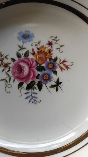 Alfred Meakin Jerome Hand Painted