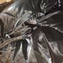 Regatta x Christian Lacroix Winter coat Image 5