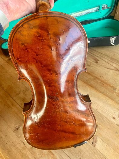 Violin
