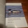 A Field Guide to Bird Photography - Softcover Image 8