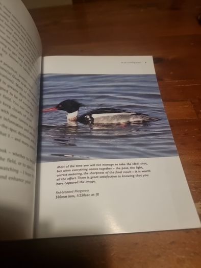 A Field Guide to Bird Photography - Softcover