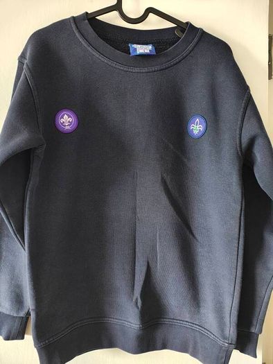Scouting Ireland Cub jumper