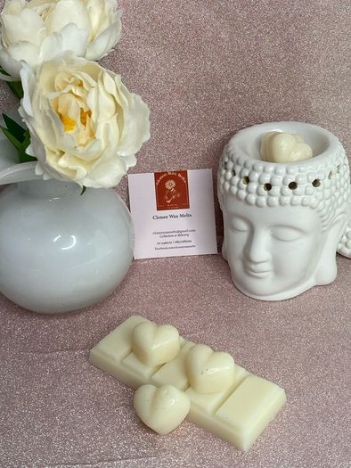 Clonee Wax Melts Snap Bars multi pack