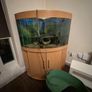 190L Jewel corner fish tank Image 2