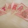 Beautiful Vintage Style Buntings Girl/boy Image 2