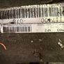 Amarok 2.0 BiTDI 8-Speed Automatic Gearbox Image 4