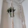 Plant holder Image 2