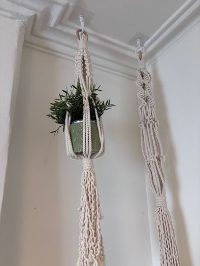 Plant holder