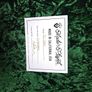 Guild D20 E Acoustic Guitar Image 8