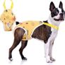 Female Diaper for Dog in Heat Image 8