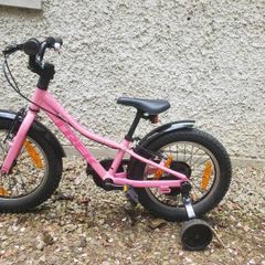 16 inch trek precalibre