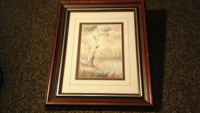 "Flinders reflections" by Joan Hancock.