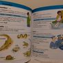 Children,s Illustrated Thesaurus Book Image 10