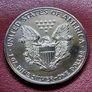 USA 1991 Silver Eagle 1 Dollar Toned Coin Image 4