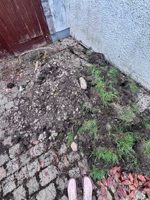 Free Topsoil