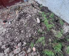 Free Topsoil