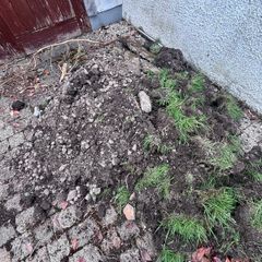 Free Topsoil