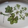 Heron Cross Pottery Oven to Table Dish Image 3