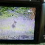 Panasonic LUMIX DMC-FS30 14.1MP Digital Camera 4Gb SD Card (universal charger) Tested Image 8