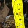 Antique French 19th century Bronze Sculpture Auguste Moreau featuring a Winged Putto Cherub Cupid carrying a shell or cornucopia like vessel, mounted on a marble base Image 9