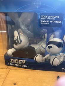Robodog Toy - boxed and as new.