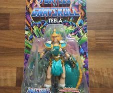 turtles/he man teela crossover