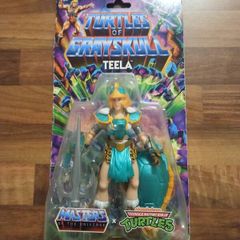 turtles/he man teela crossover