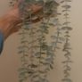 Artificial Plants in Ceramic Pots x2 Image 3