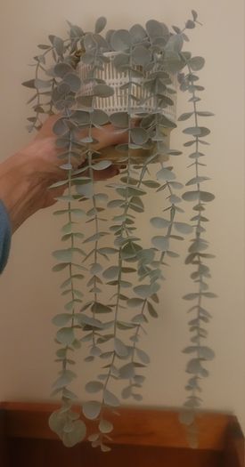 Artificial Plants in Ceramic Pots x2