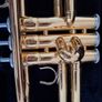 Yamaha YTR4335G Intermediate Trumpet Gld Brass Bel Image 5