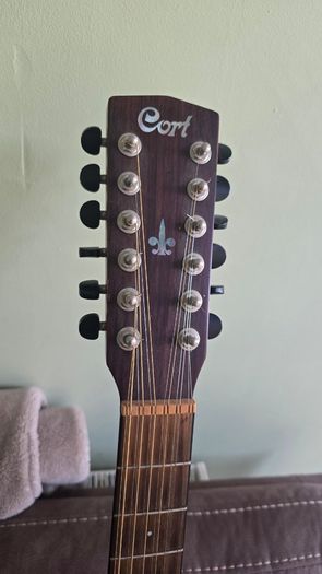 Cort 12 strings solid wood