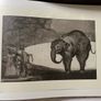 art book Disparates: Francisco de Goya Tres Visiones Image 9