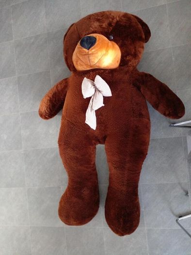 Huge teddy