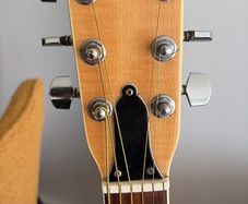 Ibanez 699 Acoustic Guitar
