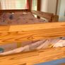Mezzanine Kids Bed with mattress and canvas covers - like new Image 8