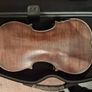 Violin Image 4