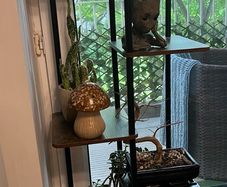8 tier plant stands indoor