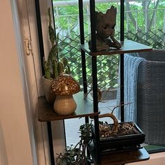 8 tier plant stands indoor