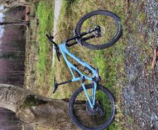 Specialized stumpjumper