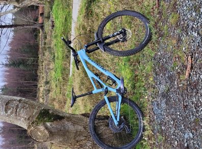 Specialized stumpjumper